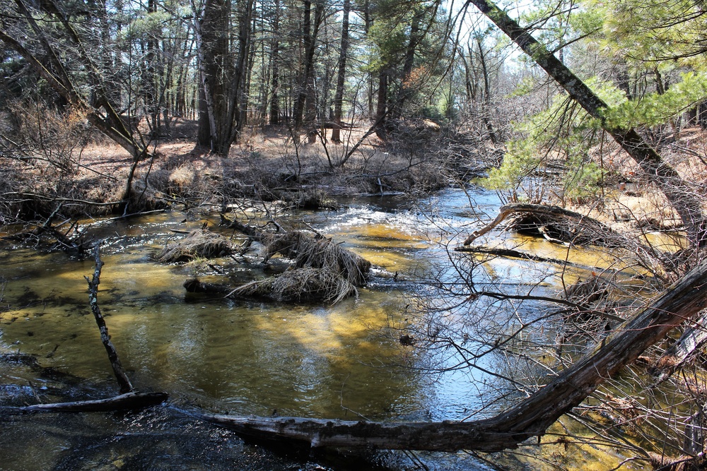 Fort McCoy's Pine View Recreation Area