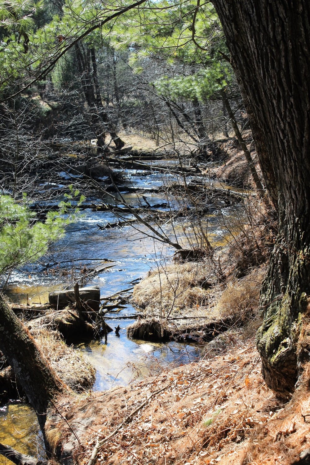 Fort McCoy's Pine View Recreation Area