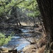 Fort McCoy's Pine View Recreation Area