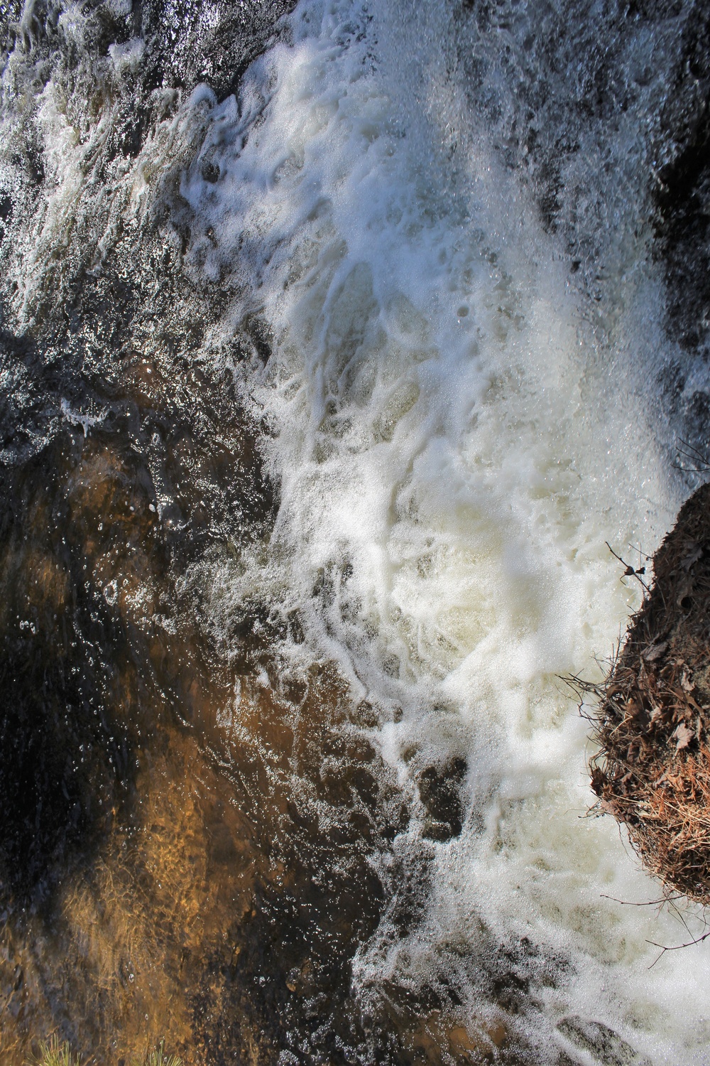 Fort McCoy's Pine View Recreation Area