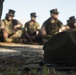 Drill instructors take off their campaign covers to mentor new Marines on Parris Island