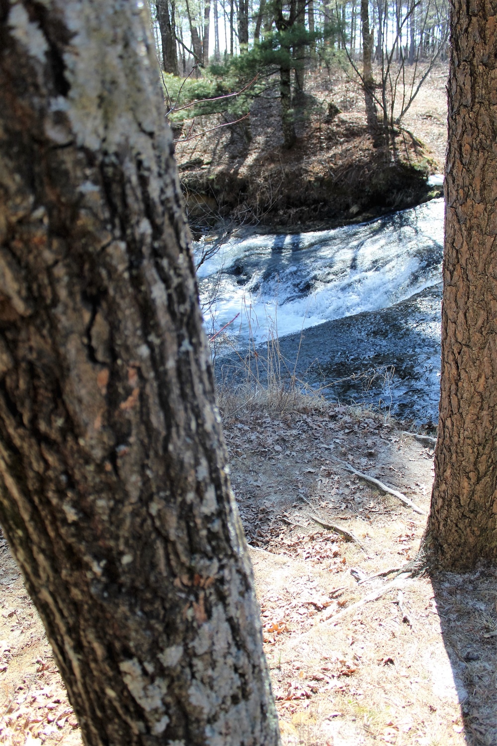 Fort McCoy's Pine View Recreation Area