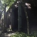 Preserving History: U.S. Marines and Sailors work with Woods Conservancy to clean up historic bunkers