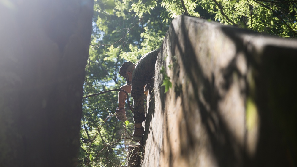 Preserving History: U.S. Marines and Sailors work with Woods Conservancy to clean up historic bunkers