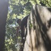 Preserving History: U.S. Marines and Sailors work with Woods Conservancy to clean up historic bunkers