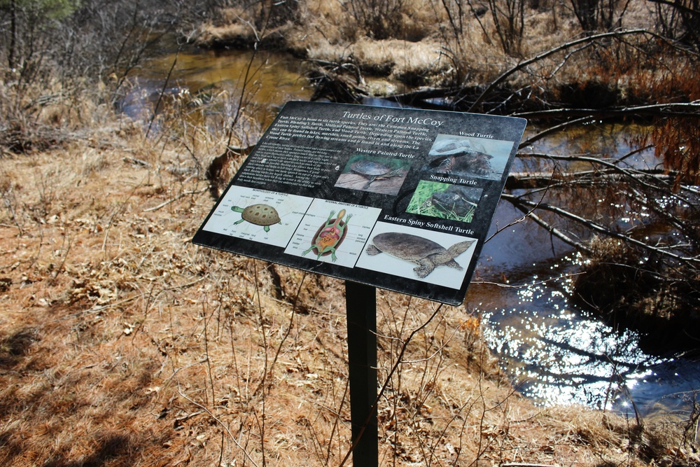 Fort McCoy's Pine View Recreation Area