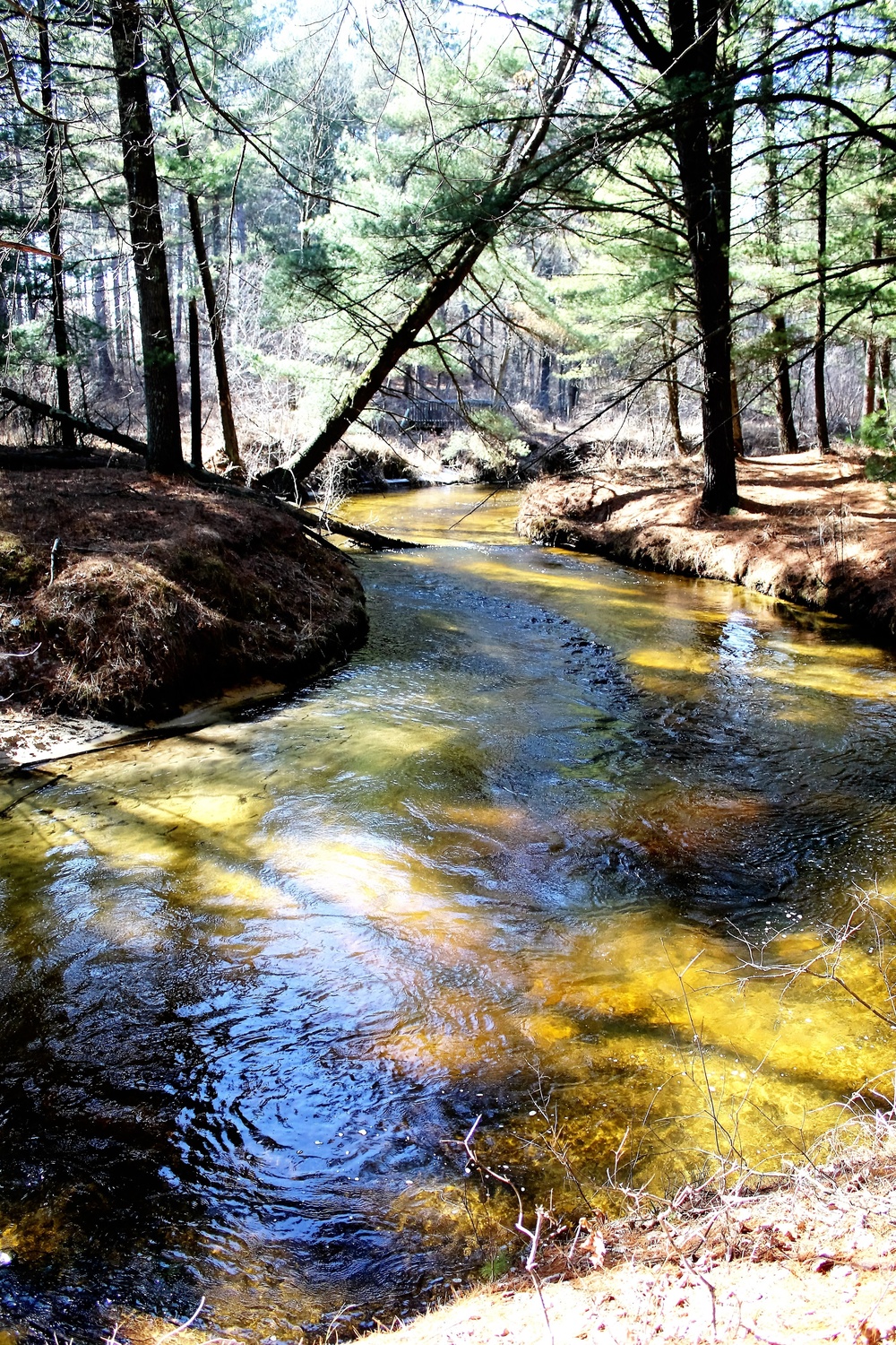 Fort McCoy's Pine View Recreation Area