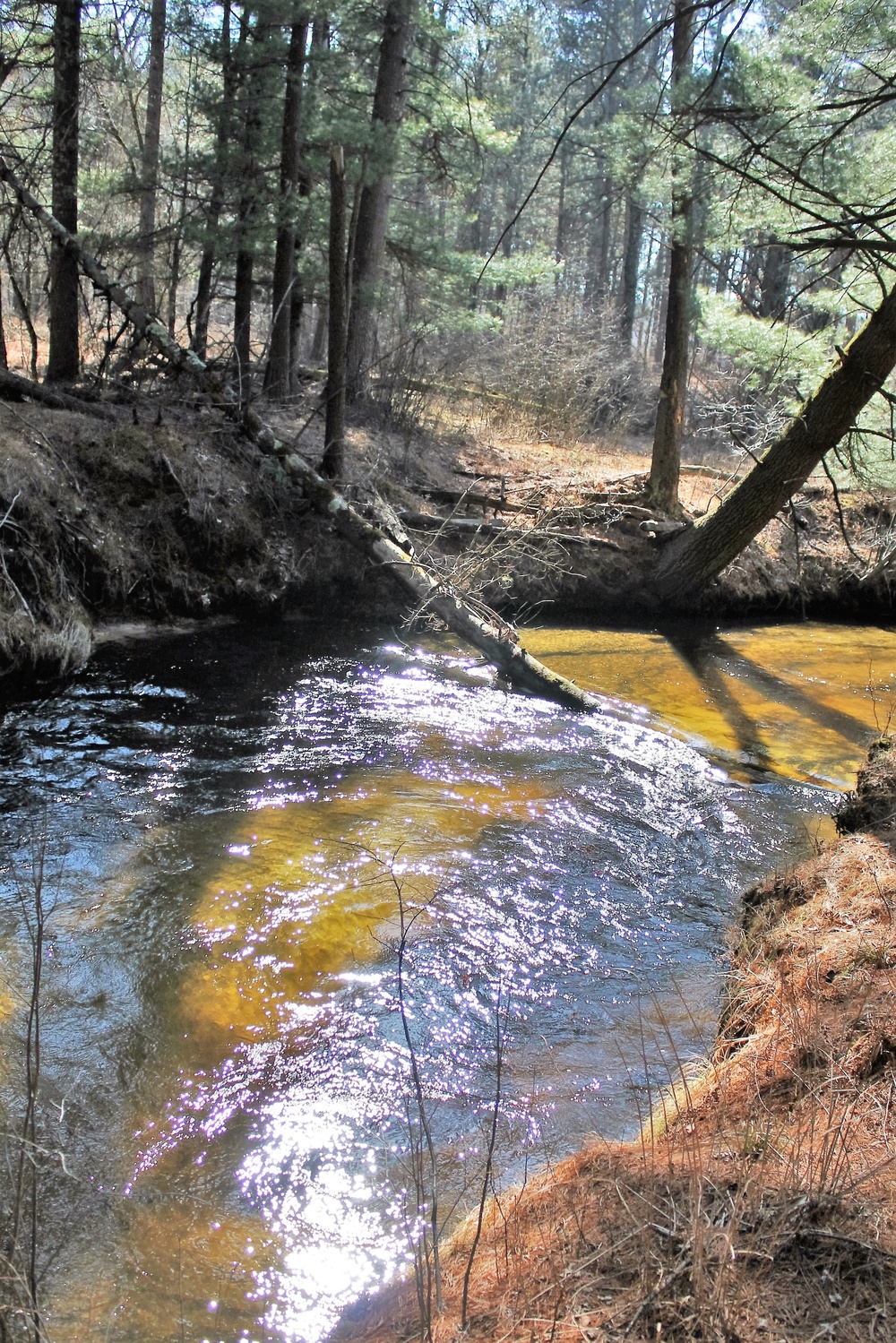 Fort McCoy's Pine View Recreation Area