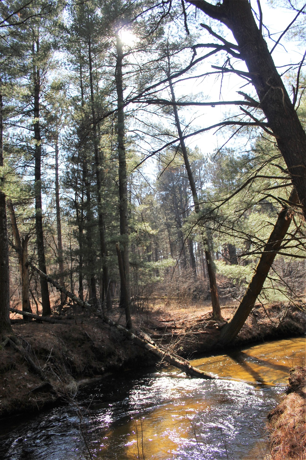 Fort McCoy's Pine View Recreation Area