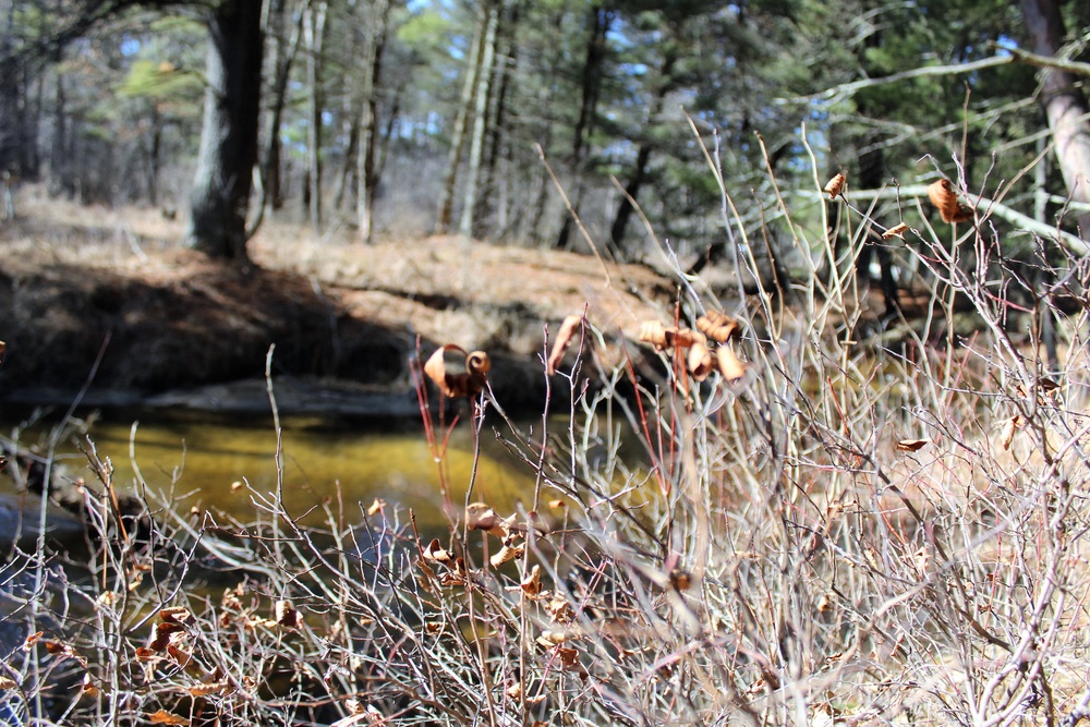 Fort McCoy's Pine View Recreation Area