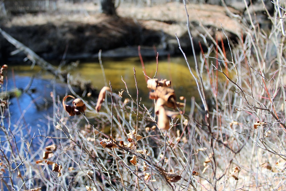 Fort McCoy's Pine View Recreation Area