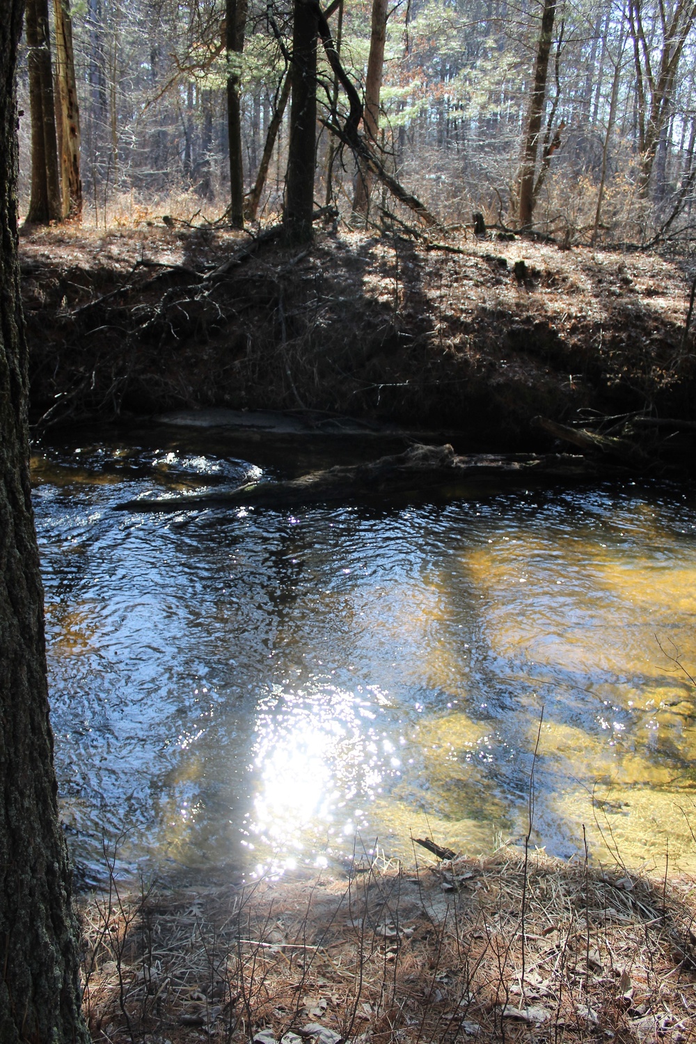 Fort McCoy's Pine View Recreation Area