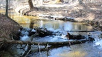 Image 20: There’s many hidden gems in Fort McCoy’s Pine View Recreation Area