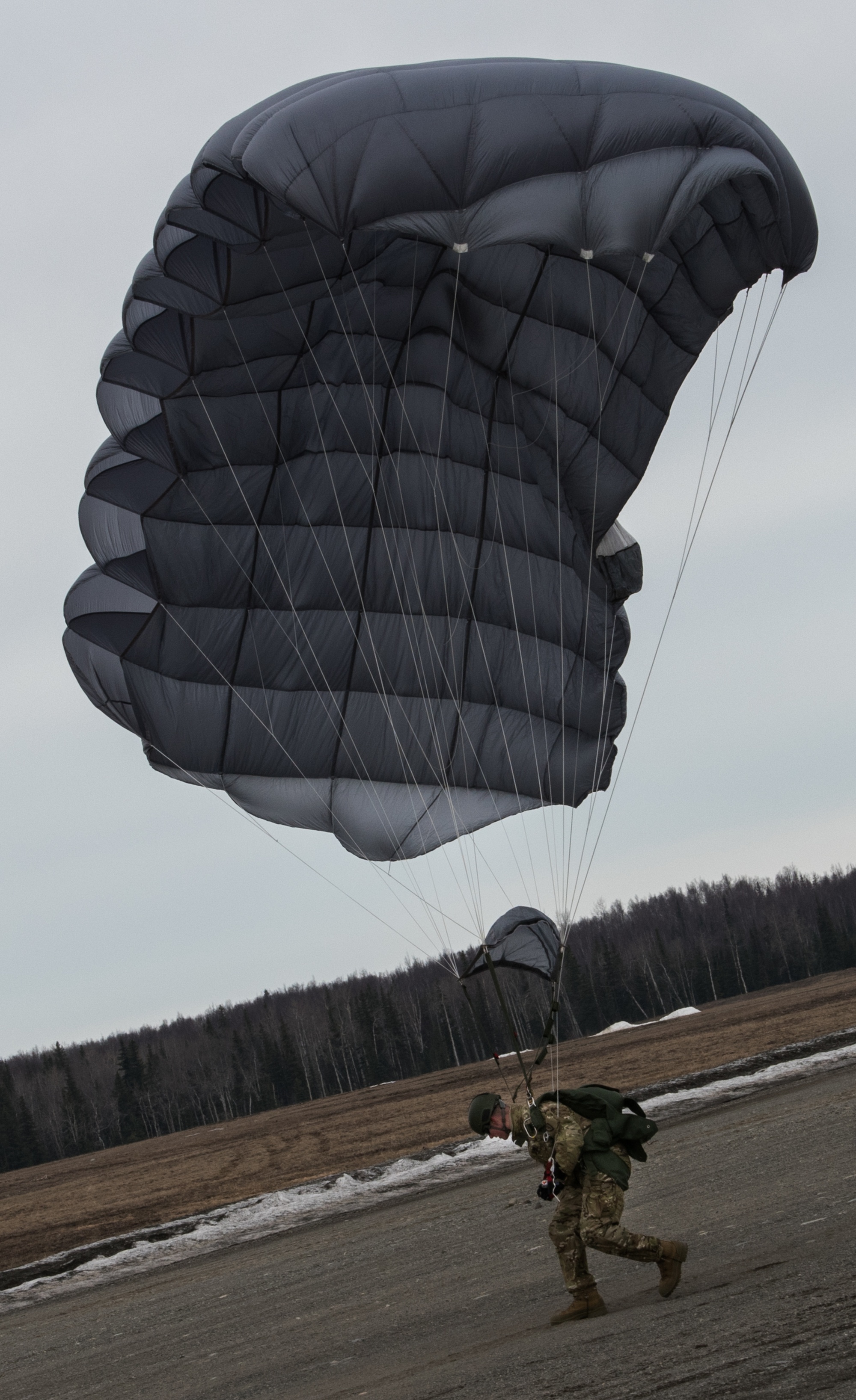 リバーシブルタイプ 米軍 back style parachute バックスタイル