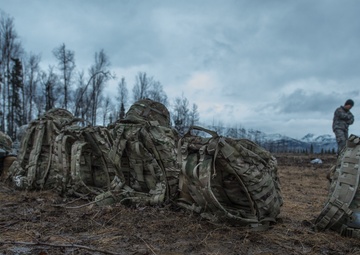USARAK Soldiers parachute from Black Hawks