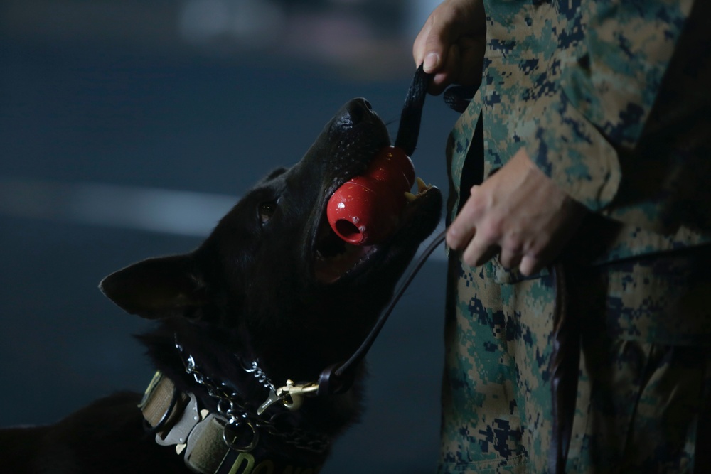 U.S. Marines Demonstrate K-9 Handling