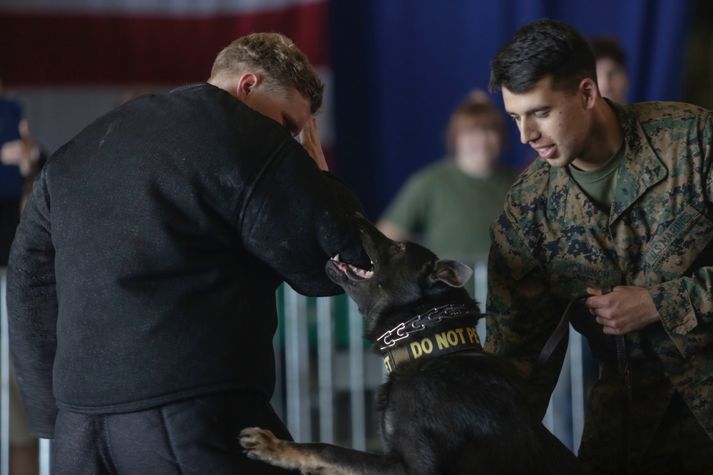 U.S. Marines Demonstrate K-9 Handling