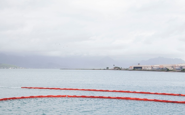 Kaneohe Bay Hanini Response