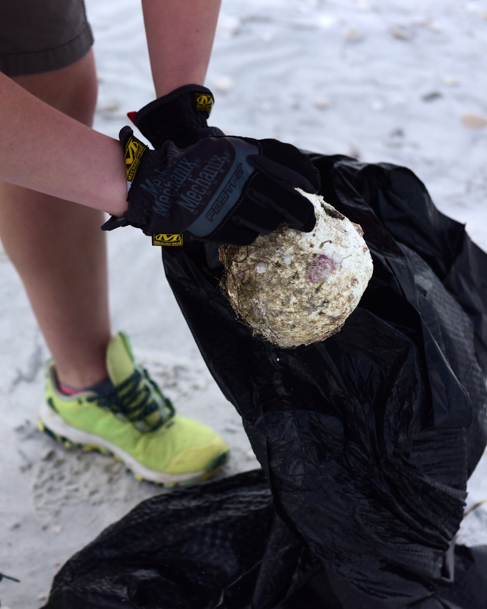 Tidy Up for Turtles Beach Clean-Up