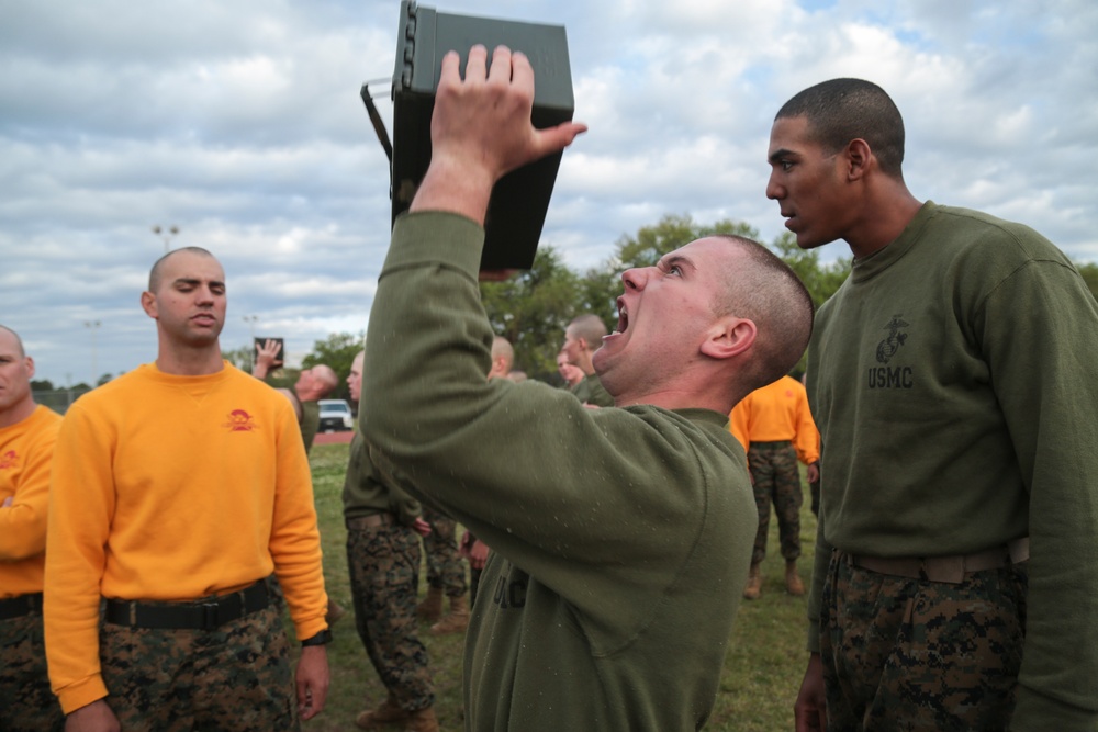 Fox and Oscar Company's Field Meet