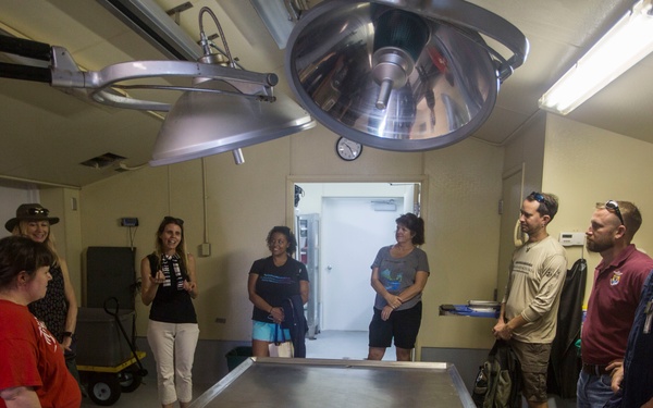 Hanini Exercise Wildlife Response Training