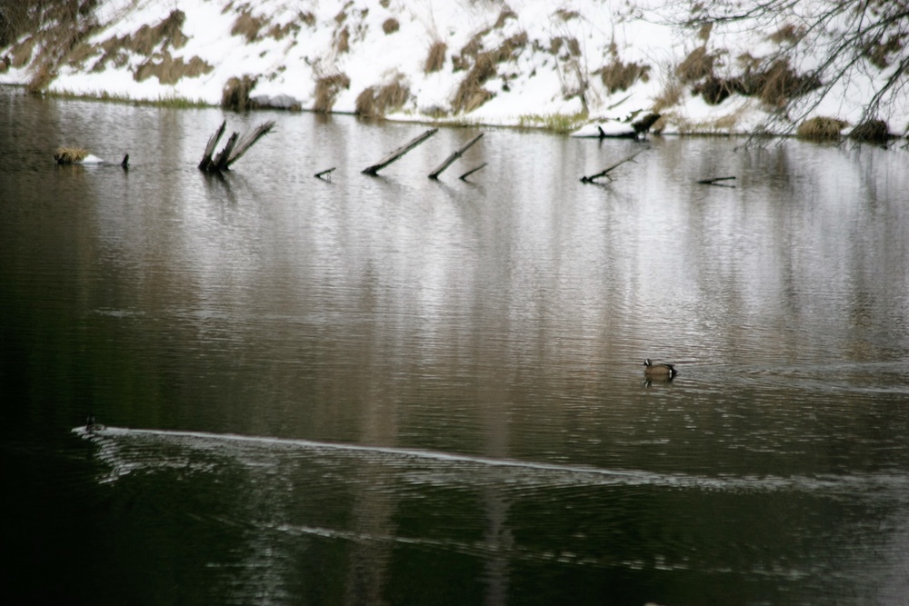 Fort McCoy's Pine View Recreation Area