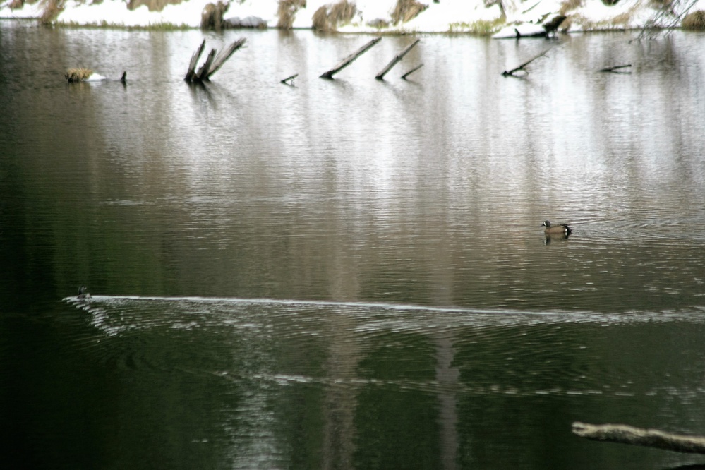 Fort McCoy's Pine View Recreation Area