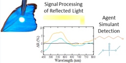 The Butterfly Effect: Vapor Detection Takes Flight