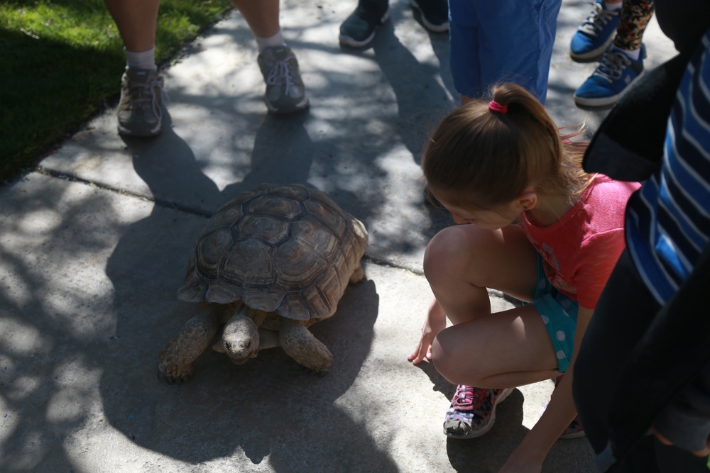 Earth Day festival held in Yucca Valley