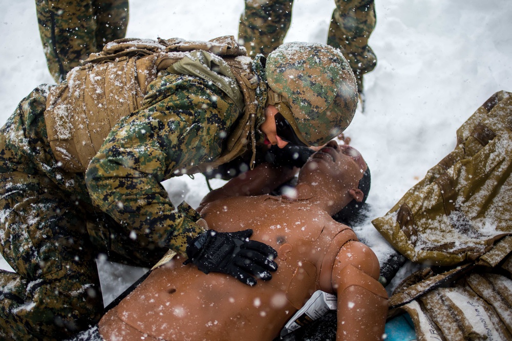 Tactical Combat Casualty Care Qualification