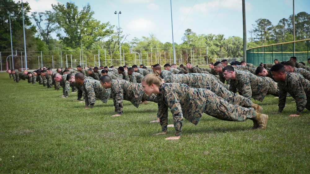 Swamp Foxes train together