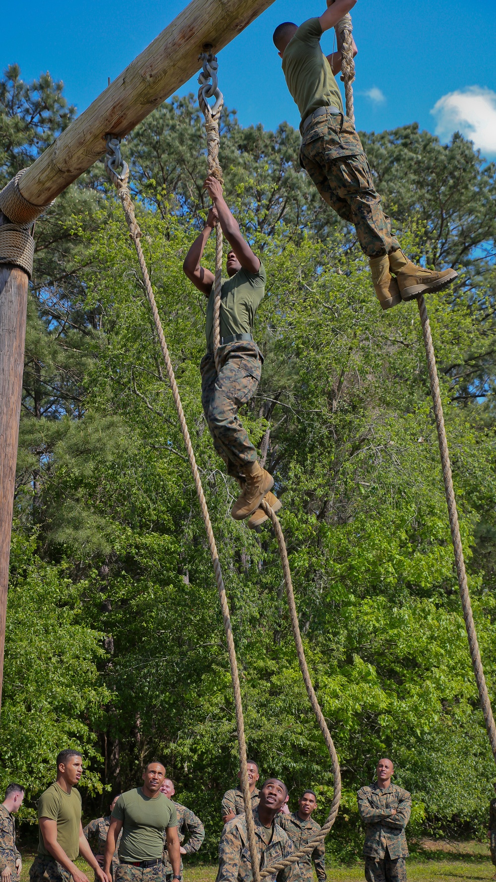 Swamp Foxes train together