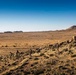 Fox Co scales mountains, engages enemy during force-on-force exercise in Jordan