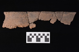 Madison cord-impressed vessels