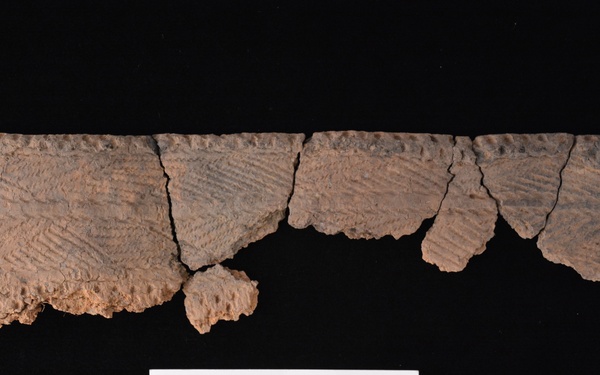 Fort McCoy ArtiFACT: Madison cord-impressed vessels