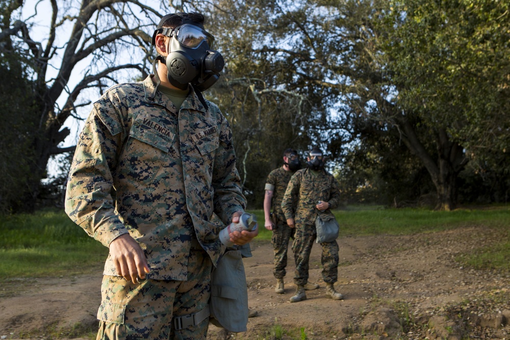 1st Radio Battalion Hike