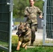 Military Working Dogs Train in Germany