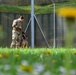 Military Working Dogs Train in Germany