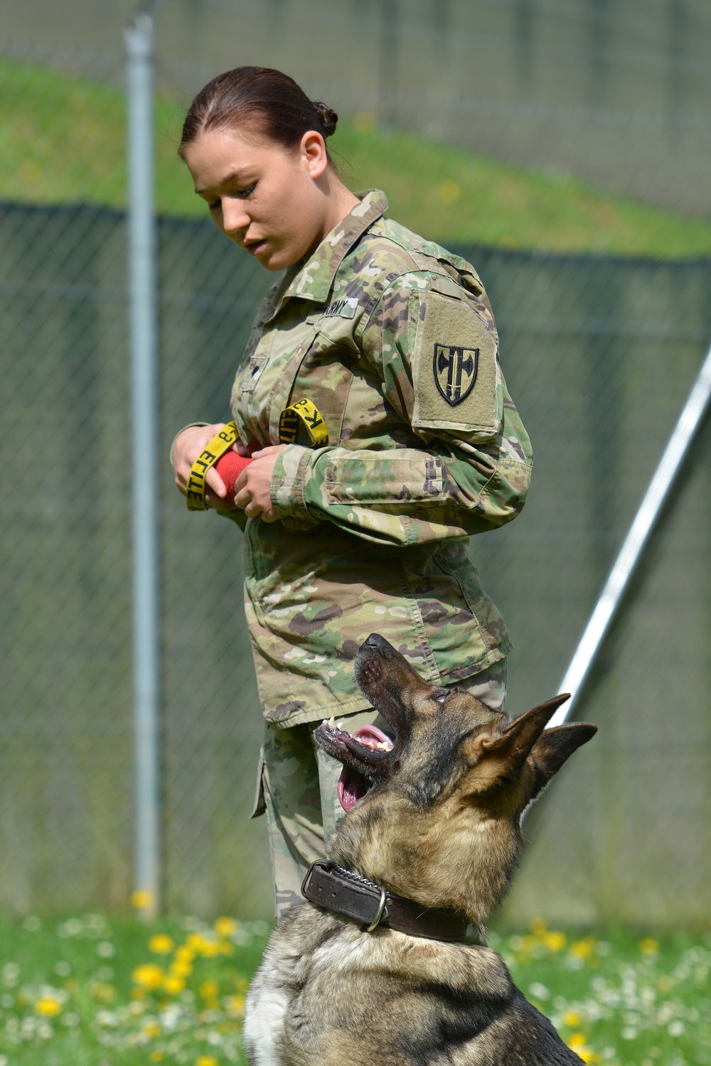 Military Working Dogs Train in Germany