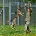 Military Working Dogs Train in Germany