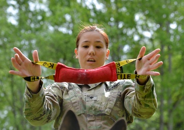 Military Working Dogs Train in Germany