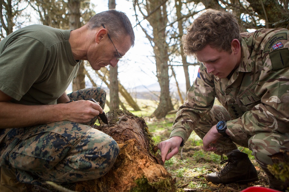 4th ANGLICO learns to survive, at Joint Warrior 18