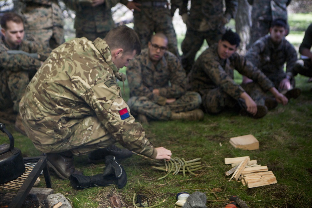 4th ANGLICO learns to survive, at Joint Warrior 18