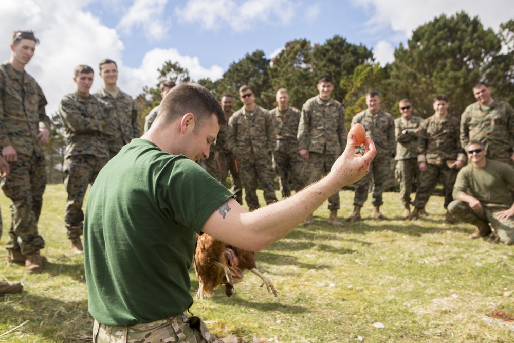 4th ANGLICO learns to survive, at Joint Warrior 18