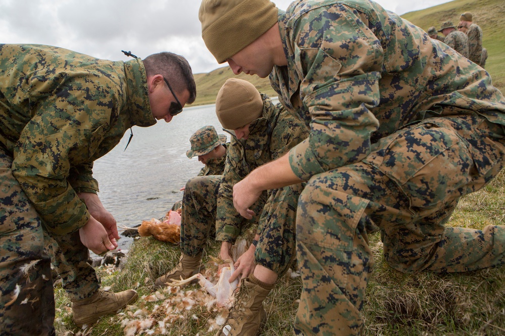 4th ANGLICO learns to survive, at Joint Warrior 18