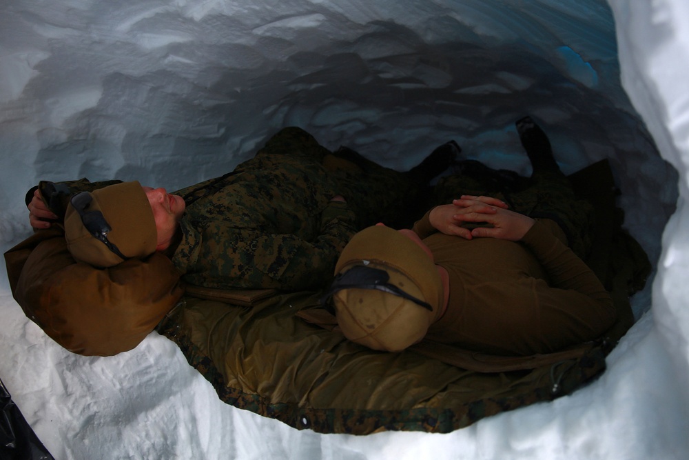 Winter Warfare Training: Snow Caves