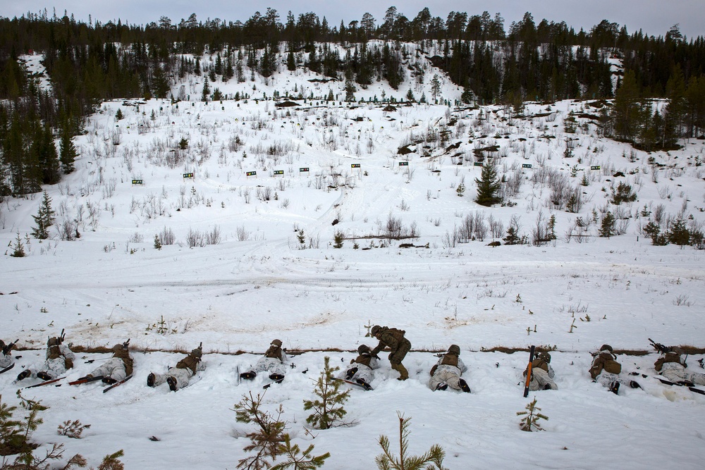 Norwegian Winter Warfare Exercise: Live-Fire Squad &amp; Platoon Attack