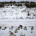 Norwegian Winter Warfare Exercise: Live-Fire Squad &amp; Platoon Attack