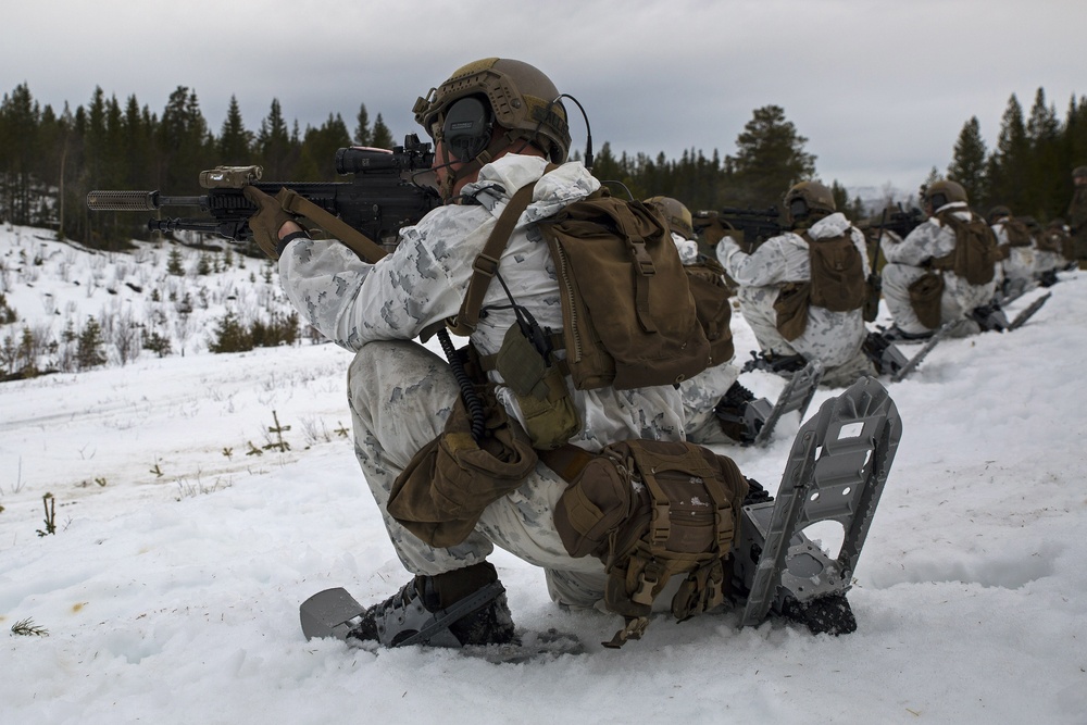 Norwegian Winter Warfare Exercise: Live-Fire Squad &amp; Platoon Attack