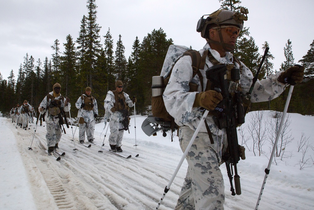 Norwegian Winter Warfare Exercise: Live-Fire Squad &amp; Platoon Attack